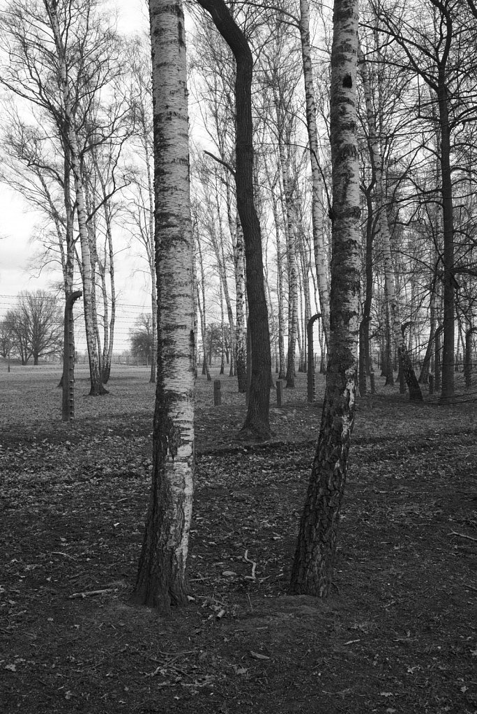 Konzentrationslager Auschwitz