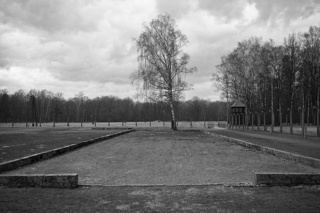 Konzentrationslager Auschwitz