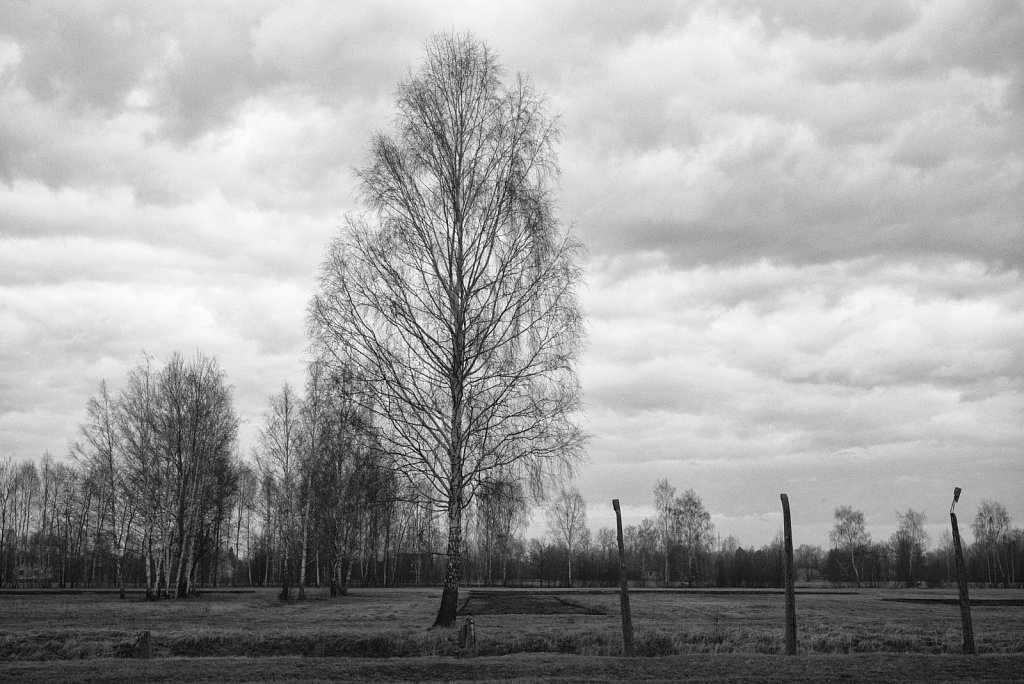 Konzentrationslager Auschwitz