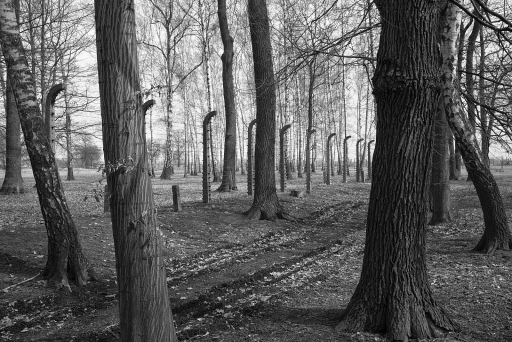 Konzentrationslager Auschwitz