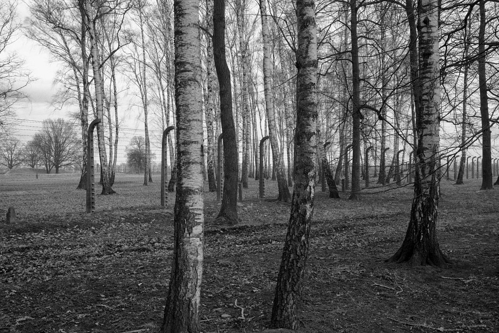 Konzentrationslager Auschwitz