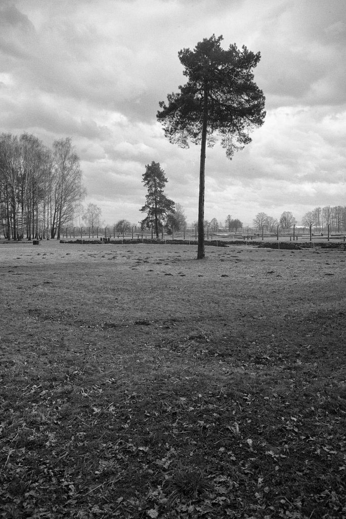 Konzentrationslager Auschwitz